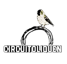 Circuito LIQUEN